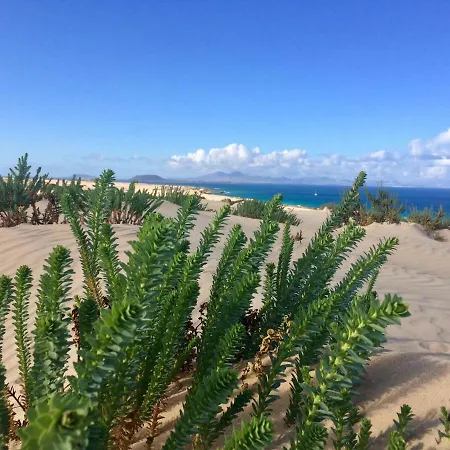 Casa Flor De Gildana Corralejo
